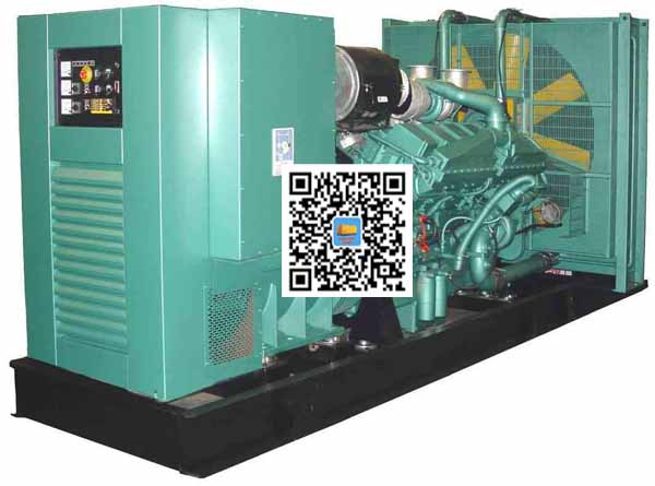 都安笼型异步发电机的电力电子控制技术